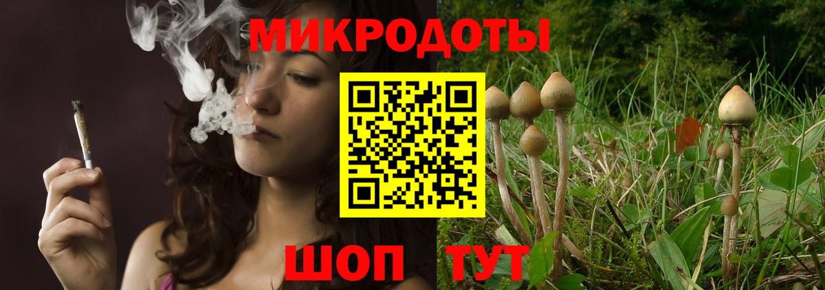 Галлюциногенные грибы Magic Shrooms Кисловодск